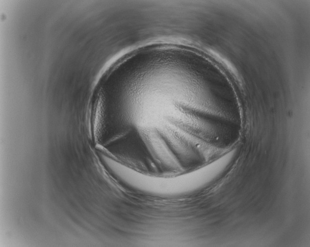 X0000085291272200703231823