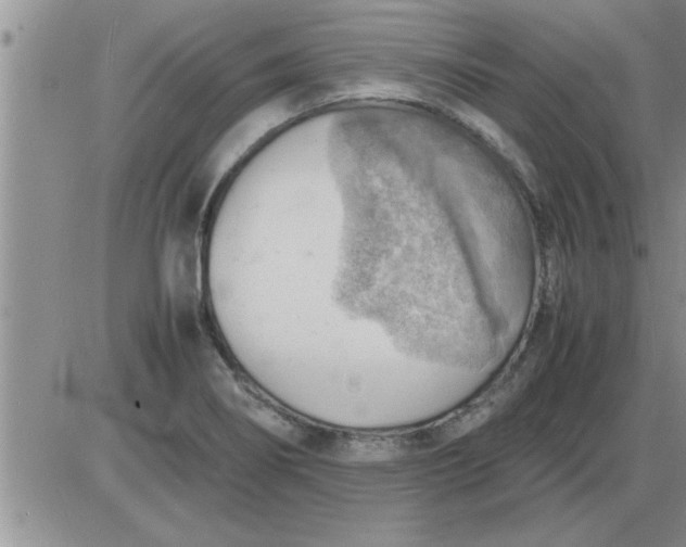 X0000085291274200703231823