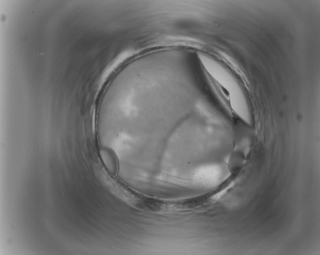 X0000085291275200703231823