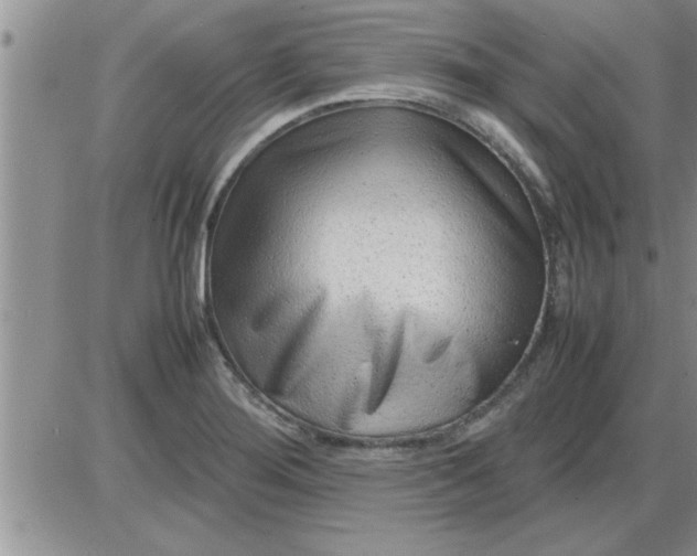 X0000085291276200703231823