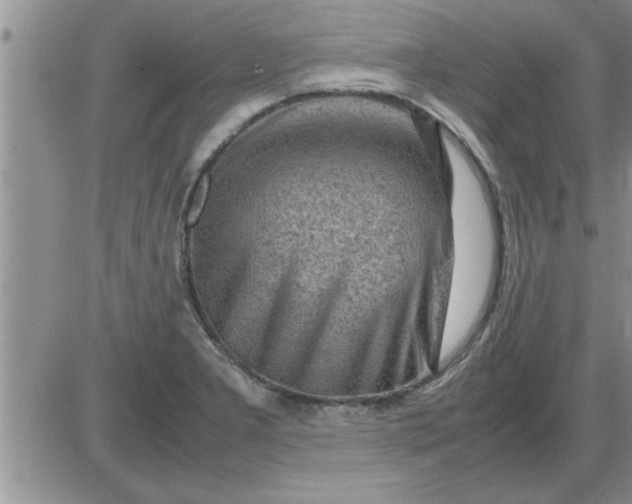 X0000085291277200703231823