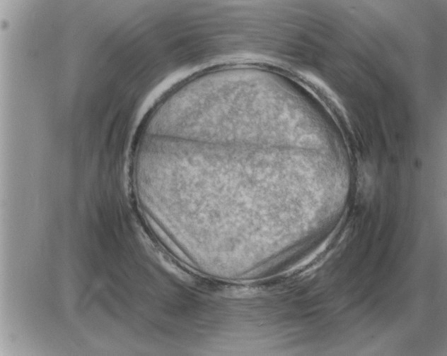 X0000085291278200703231823