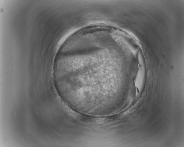 X0000085291279200703231823