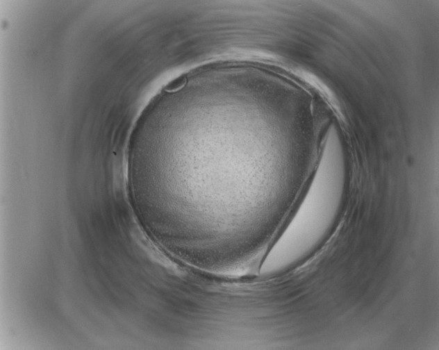 X0000085291280200703231823