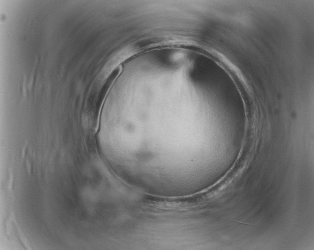 X0000085291281200703231823