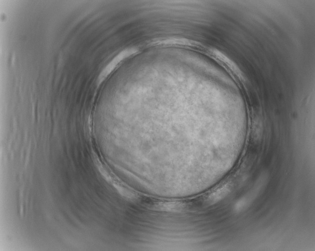 X0000085291282200703231823