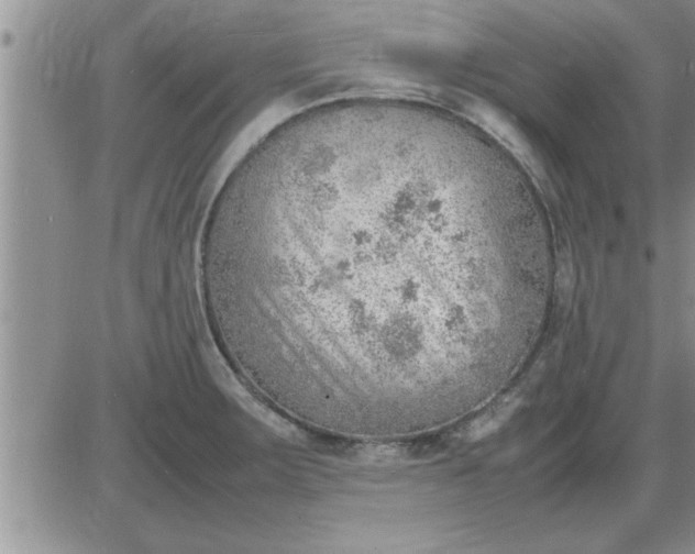 X0000085291283200703231823