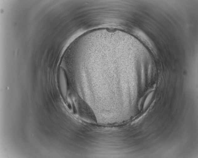 X0000085291284200703231823