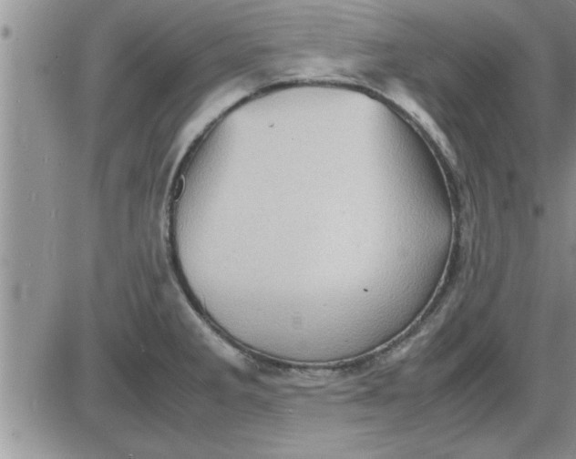 X0000085291285200703231823