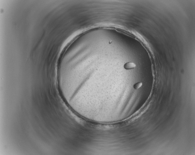 X0000085291286200703231823