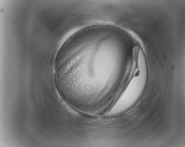 X0000085291287200703231823