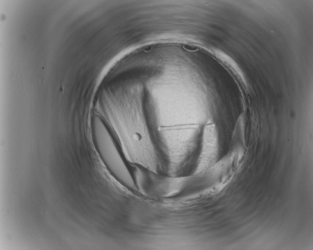 X0000085291288200703231823