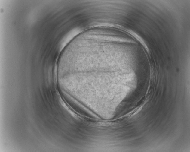 X0000085291290200703231823