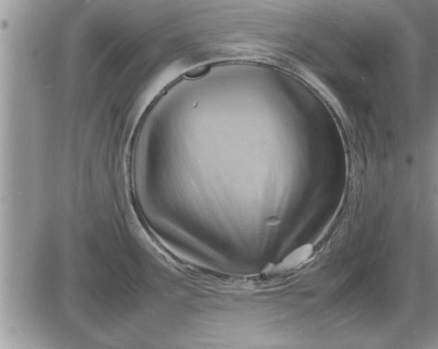 X0000085291291200703231823