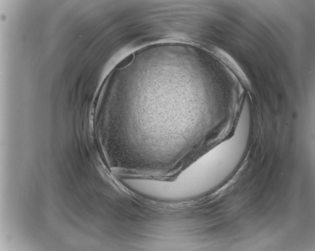 X0000085291292200703231823