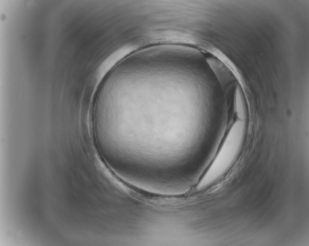 X0000085291293200703231823