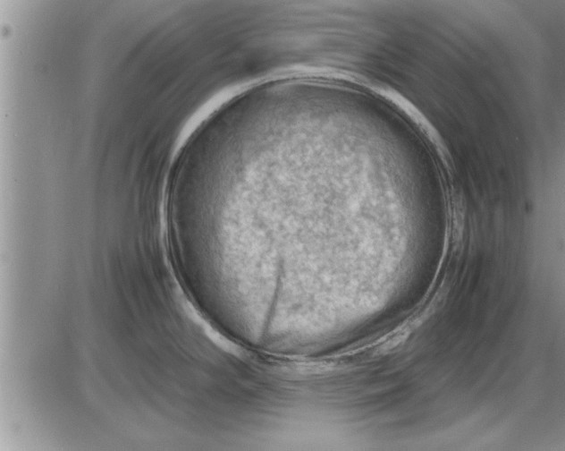 X0000085291294200703231823