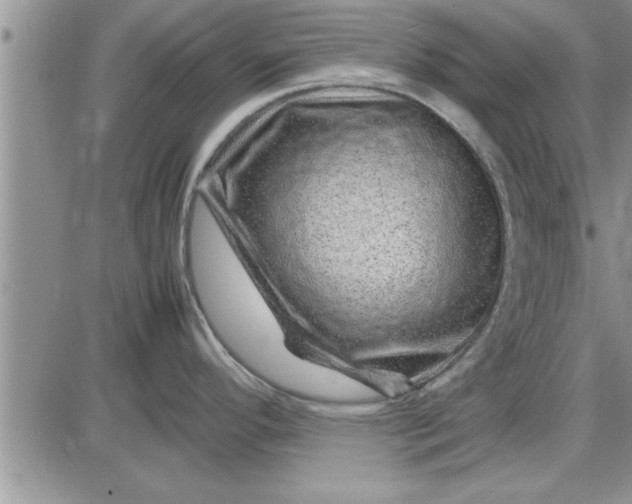 X0000085291296200703231823