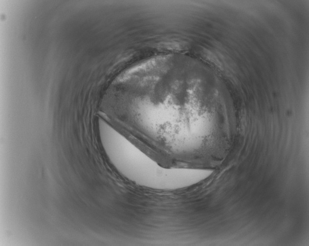 X0000085291297200703231822