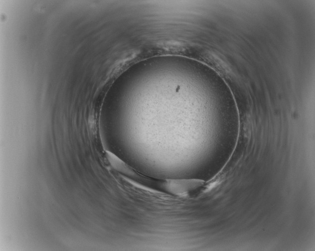 X0000085291298200703231822