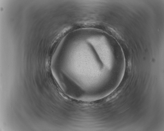 X0000085291300200703231822