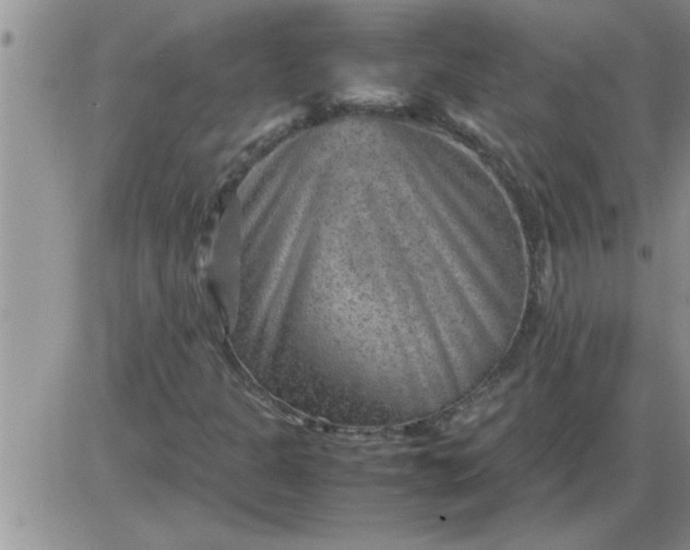 X0000085291301200703231822