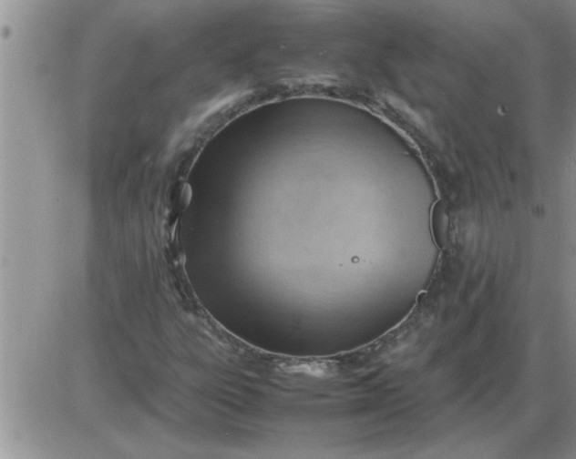 X0000085291303200703231822