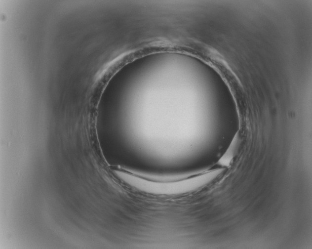 X0000085291304200703231822