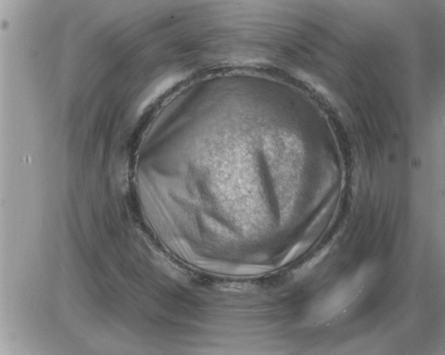 X0000085291306200703231822