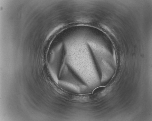 X0000085291307200703231822