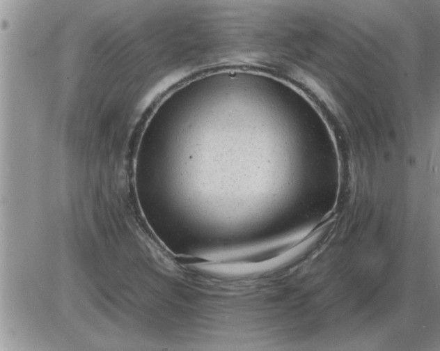 X0000085291308200703231822