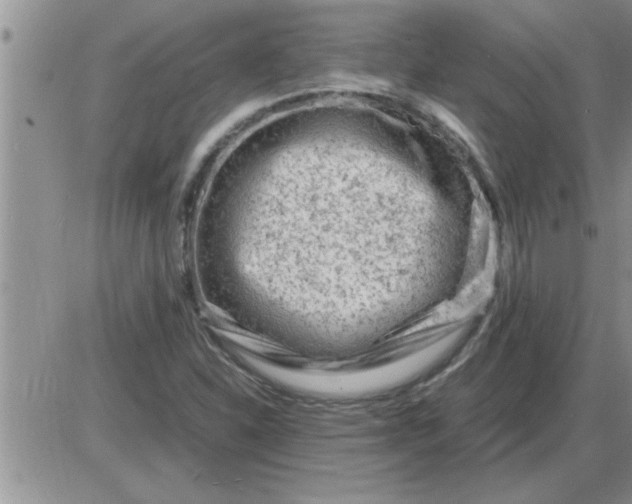 X0000085291310200703231822