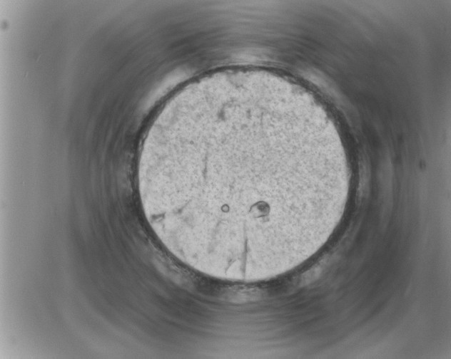 X0000085291314200703231822