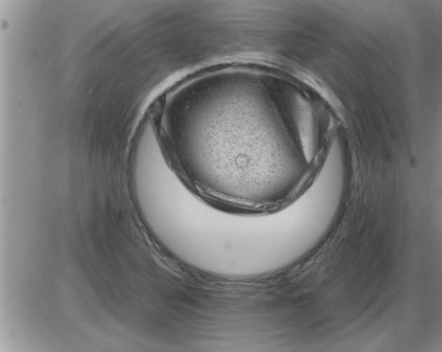 X0000085291316200703231822