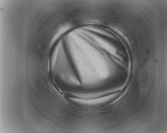 X0000085291317200703231823