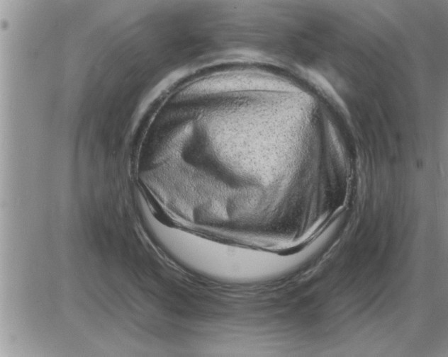 X0000085291318200703231823