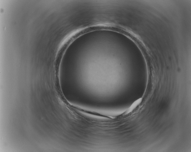 X0000085291319200703231823