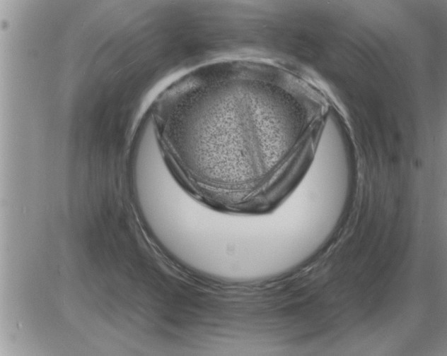 X0000085291320200703231823