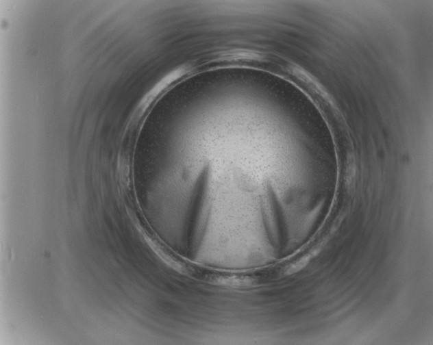 X0000085291321200703231823