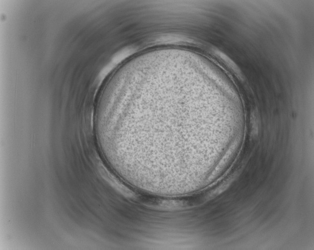 X0000085291322200703231823