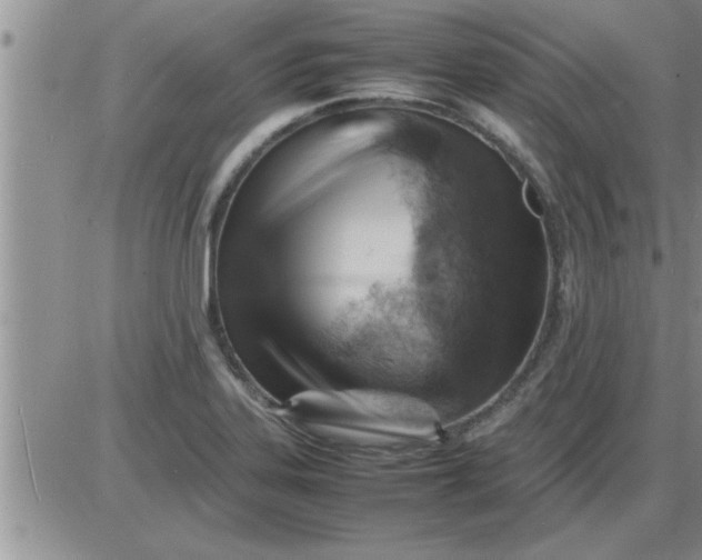 X0000085291323200703231823