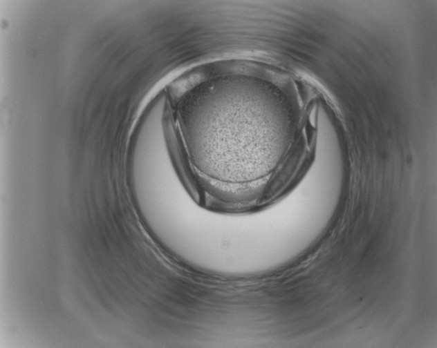 X0000085291324200703231823