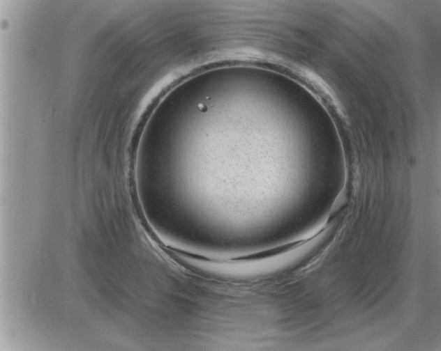 X0000085291326200703231823