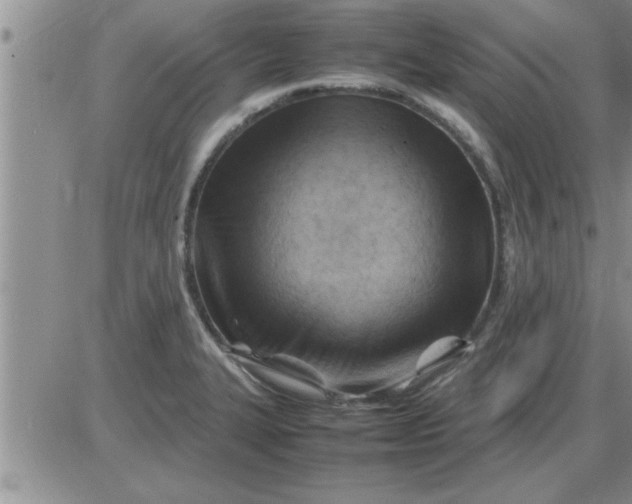 X0000085291327200703231823