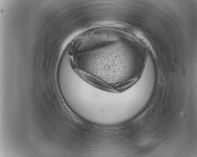 X0000085291328200703231823