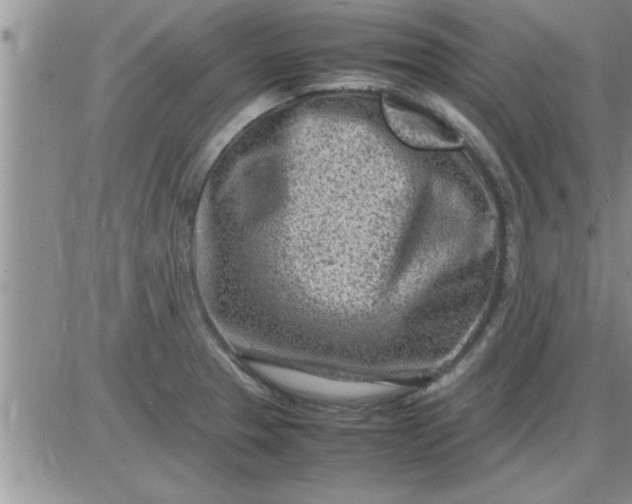 X0000085291329200703231823