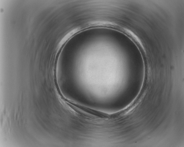 X0000085291330200703231823