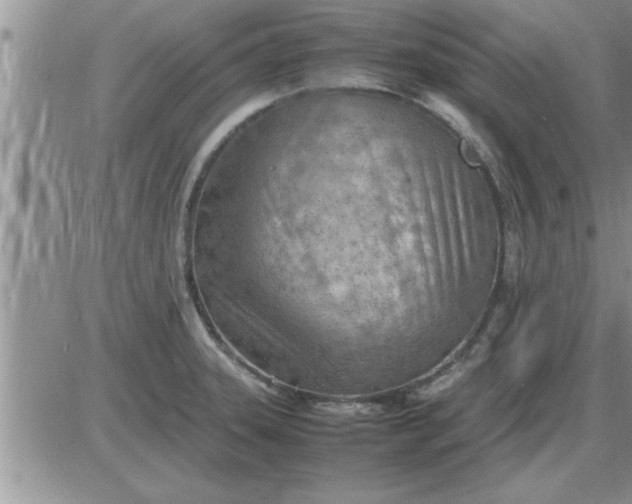 X0000085291331200703231823