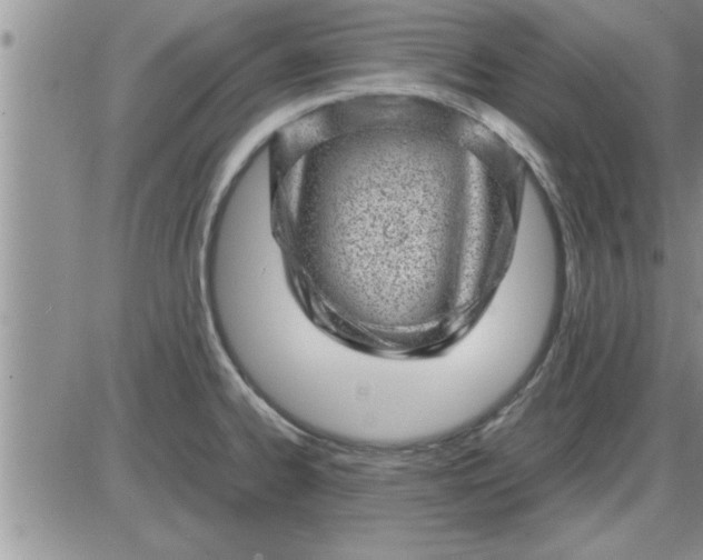 X0000085291334200703231823