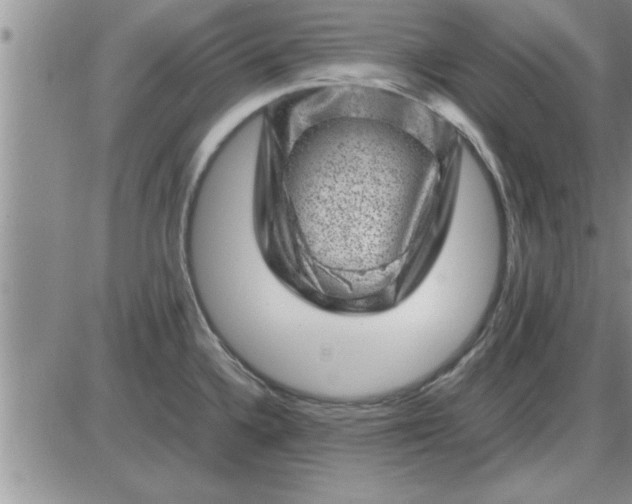 X0000085291336200703231823